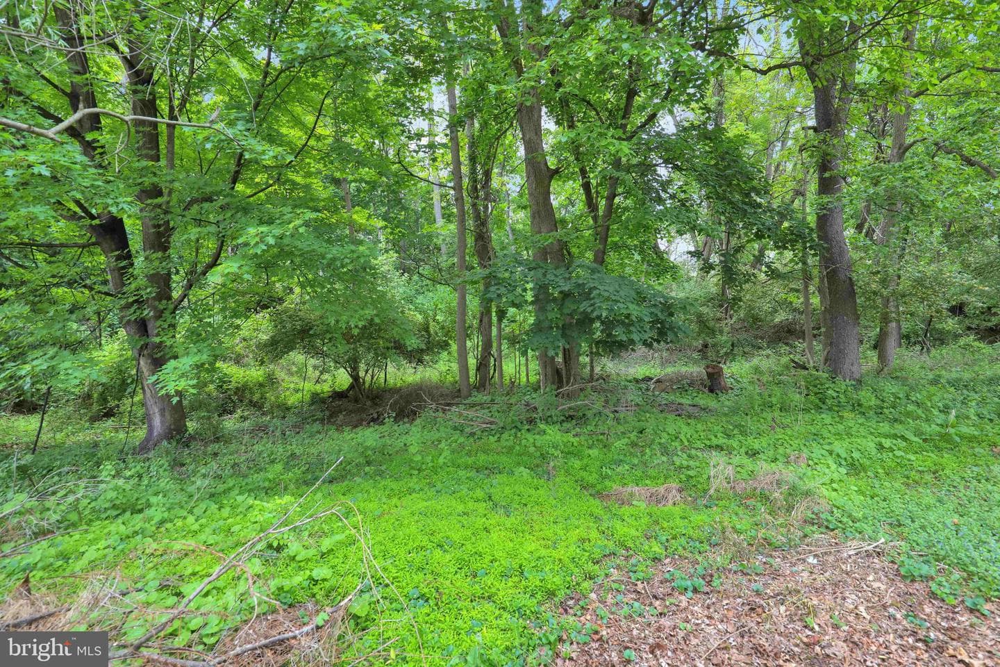 2416 High Street photo 23
