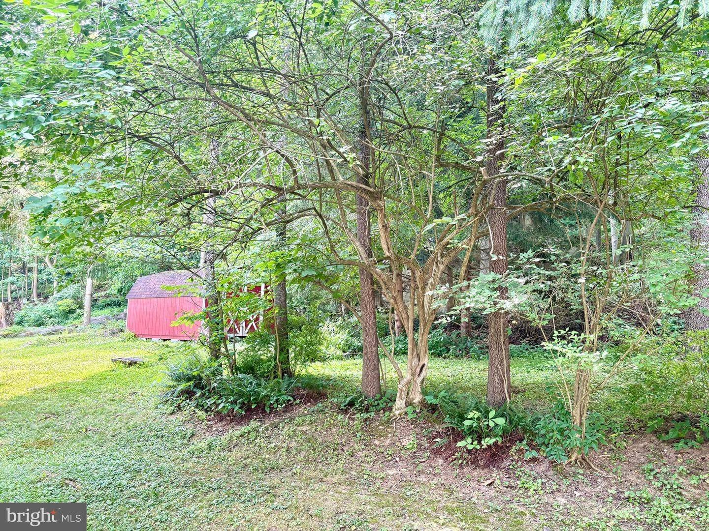 34 Woodland Avenue photo 10