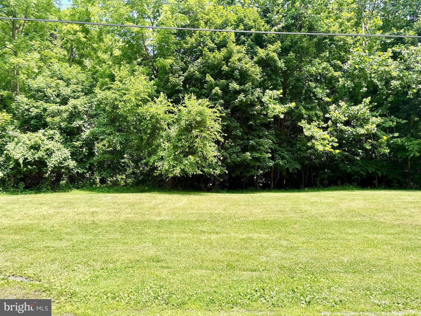 34 Woodland Avenue photo 17