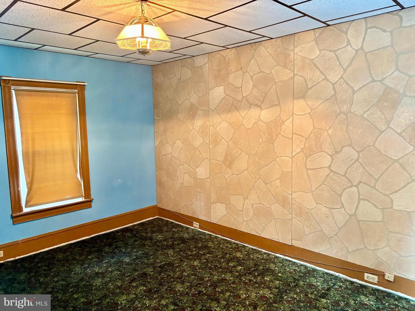 34 Woodland Avenue photo 26