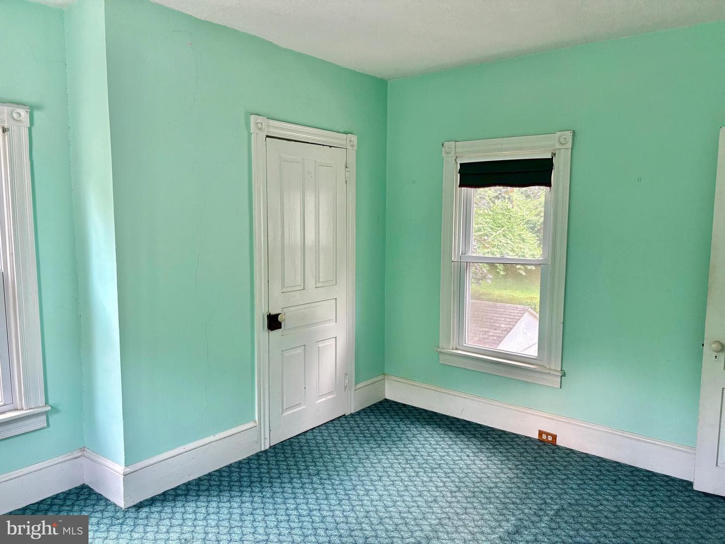 34 Woodland Avenue photo 29