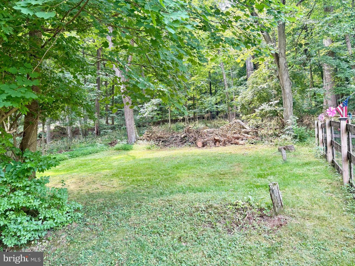 34 Woodland Avenue photo 8