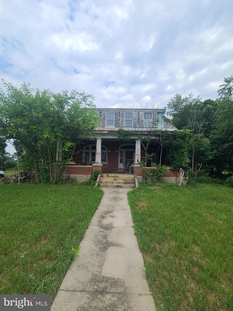 537 Old Philly Pi photo 2