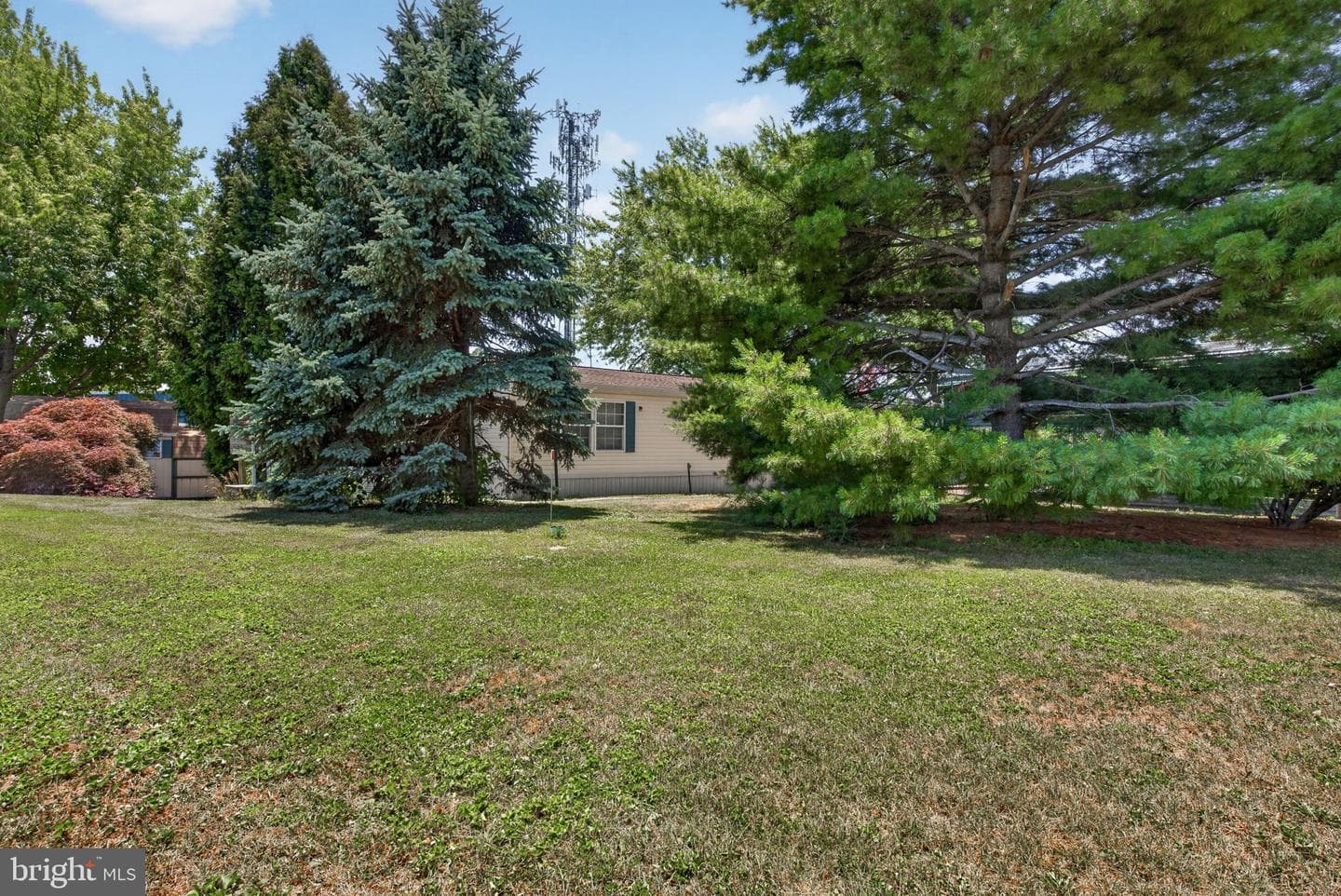 1910 Schubert Road #8 photo 39