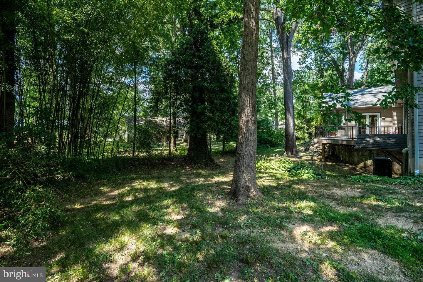 19 Birchwood Road photo 46