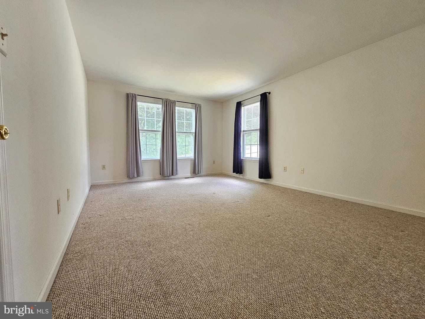 1 Emily Court photo 18