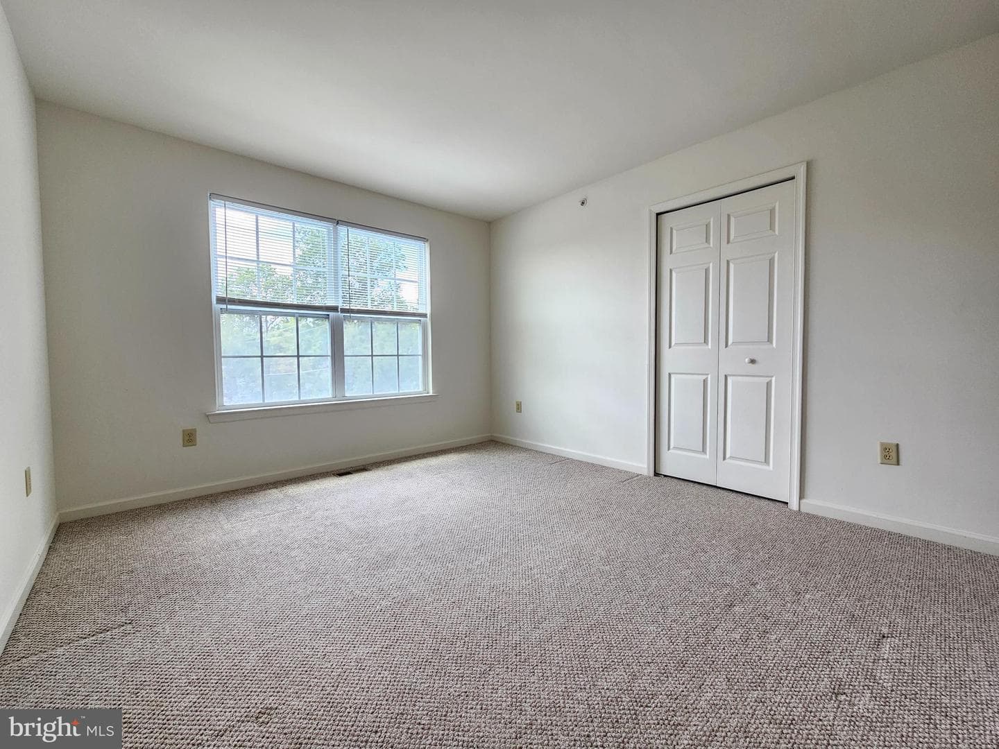 1 Emily Court photo 22