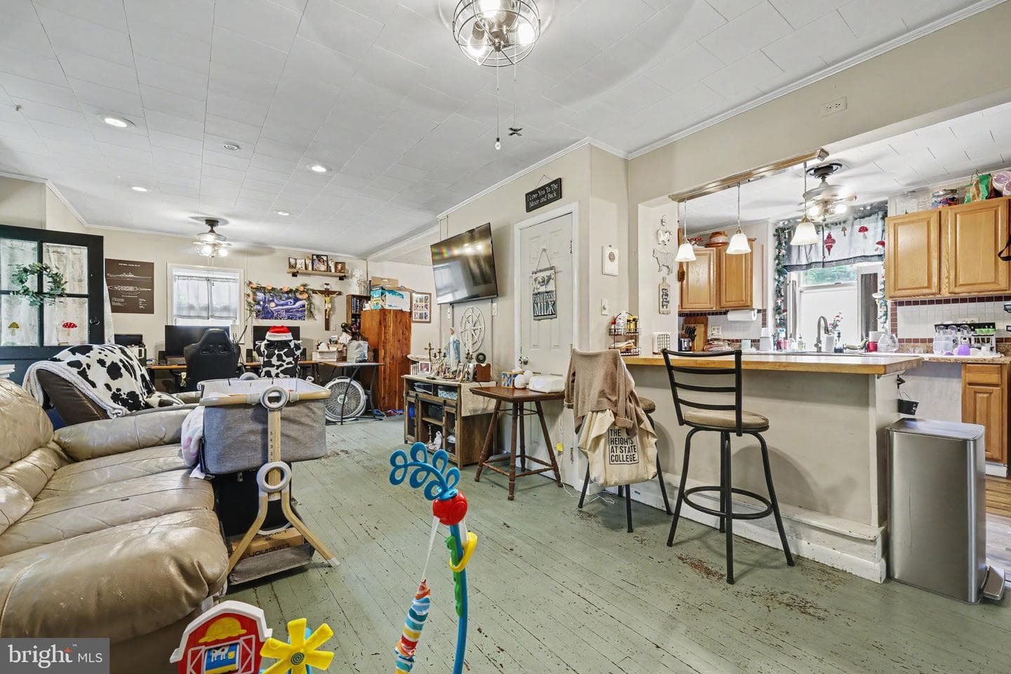 397 Angora Road photo 10