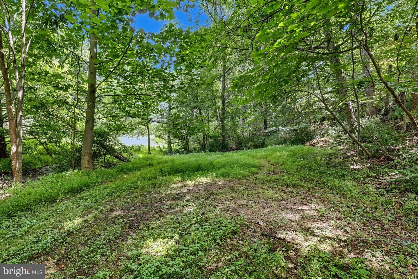 397 Angora Road photo 26