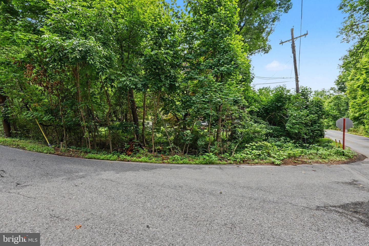 397 Angora Road photo 27