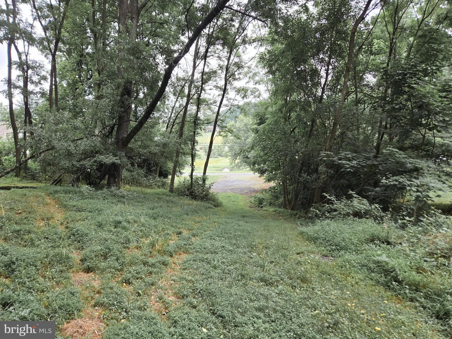 808 Sycamore Road photo 54