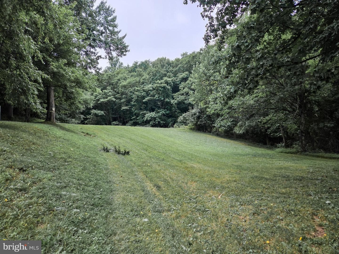 808 Sycamore Road photo 56