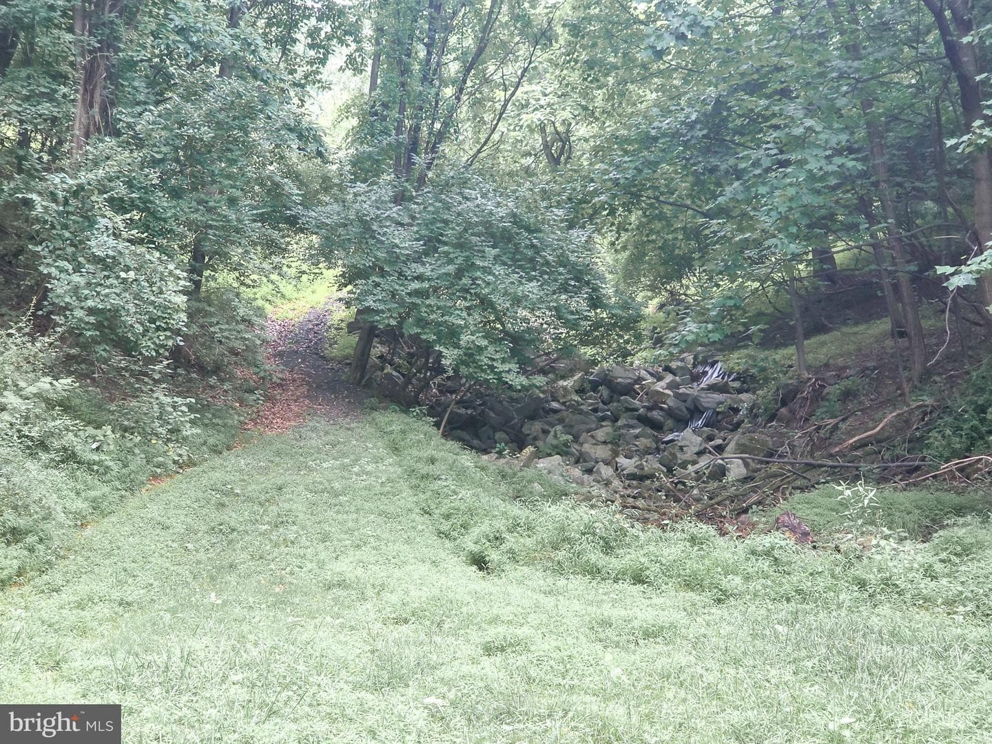 808 Sycamore Road photo 58