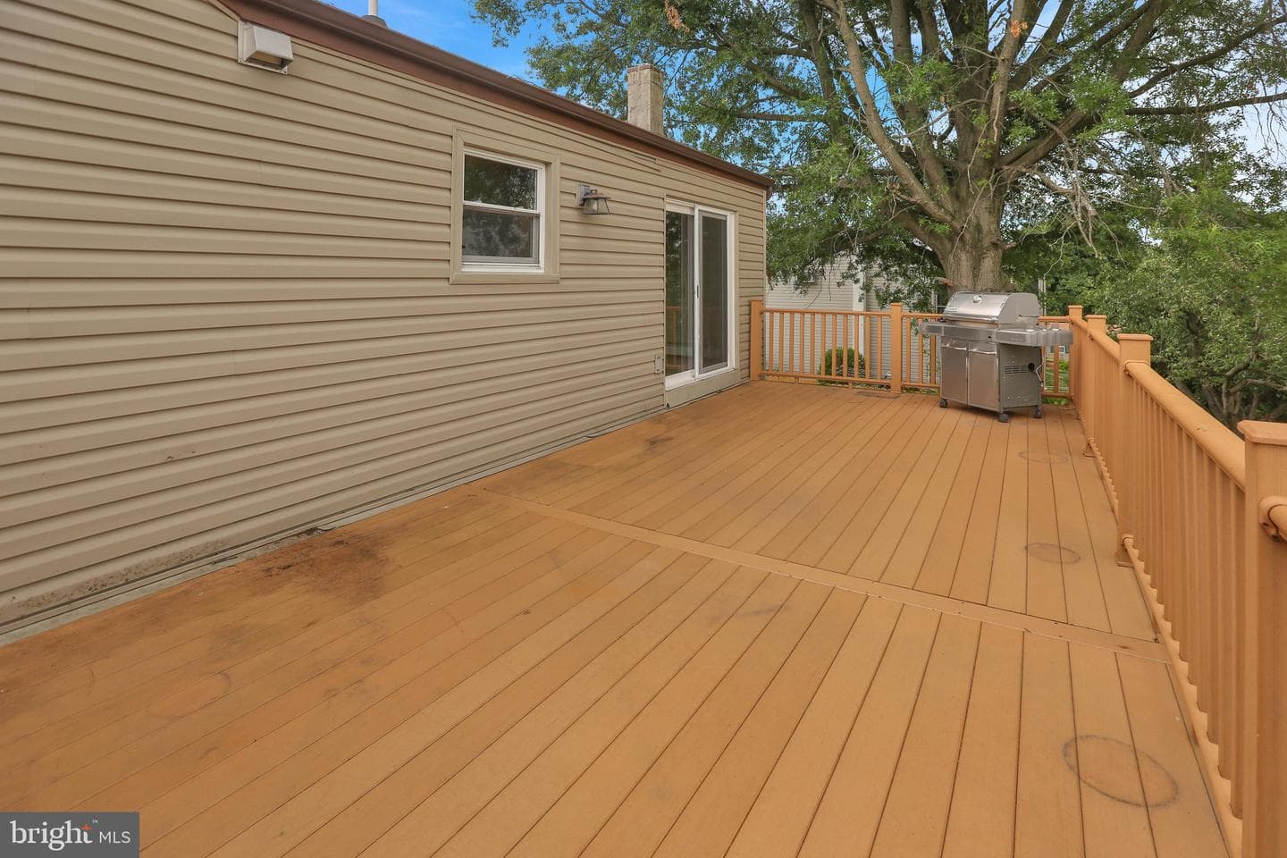 537 Marshall Avenue photo 17