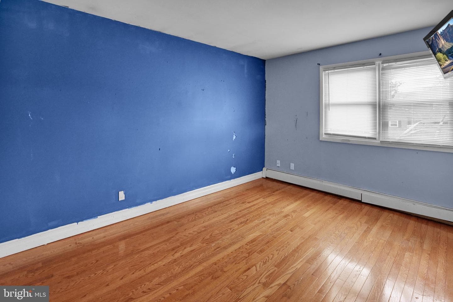 537 Marshall Avenue photo 23