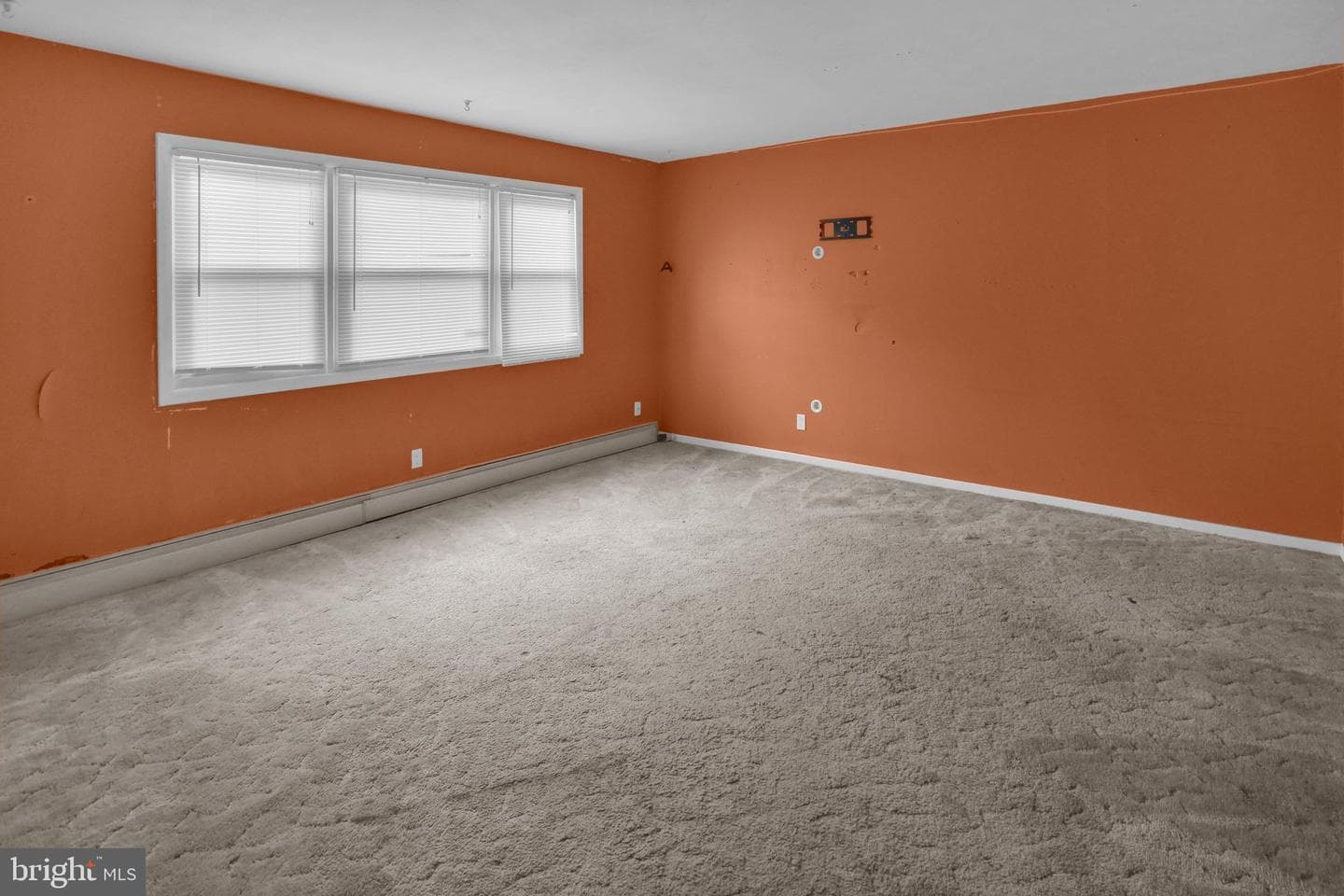 537 Marshall Avenue photo 30