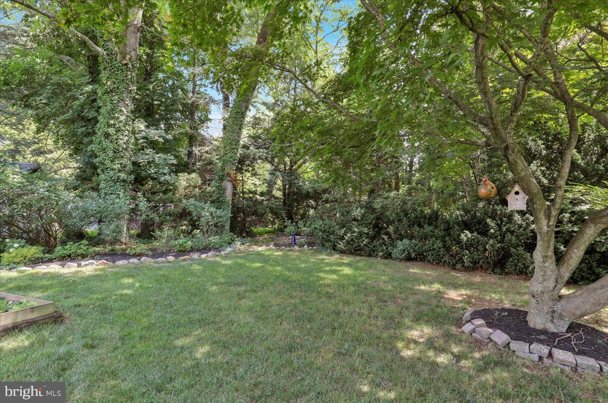 2503 Prospect Street photo 8