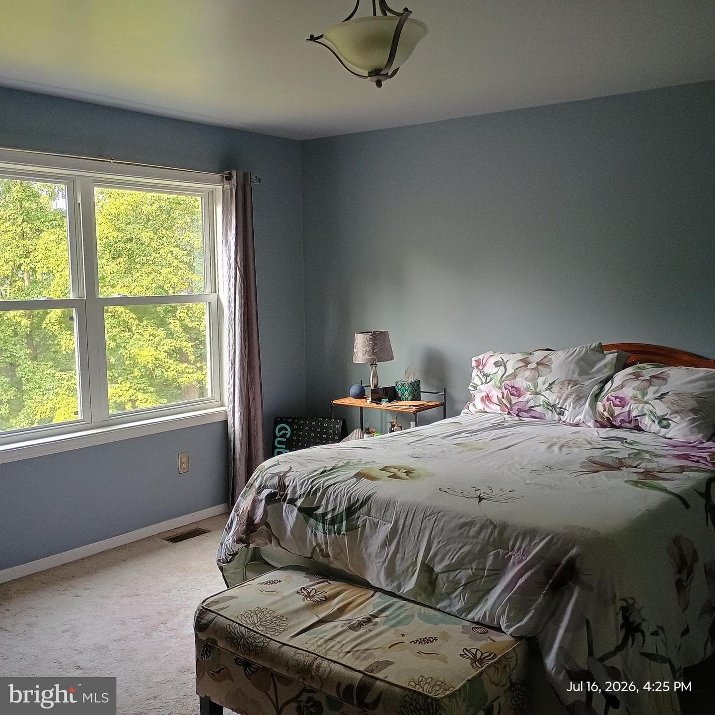 425 Swamp Road photo 45