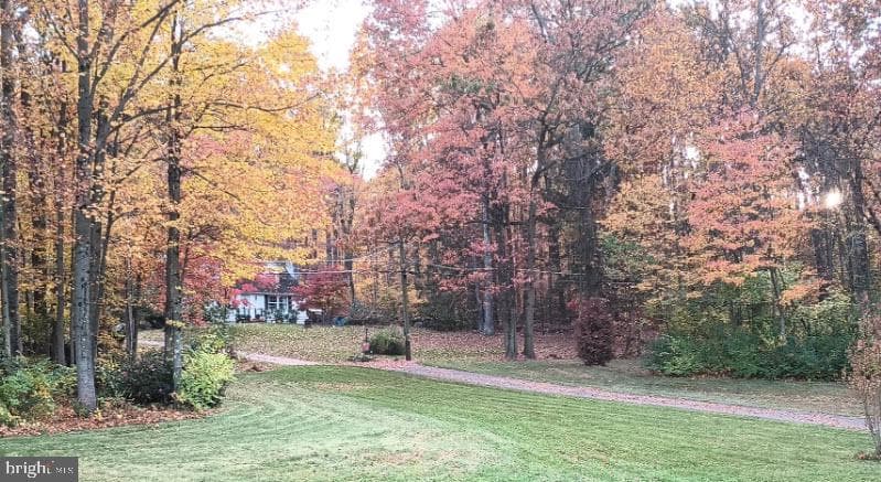 425 Swamp Road photo 5