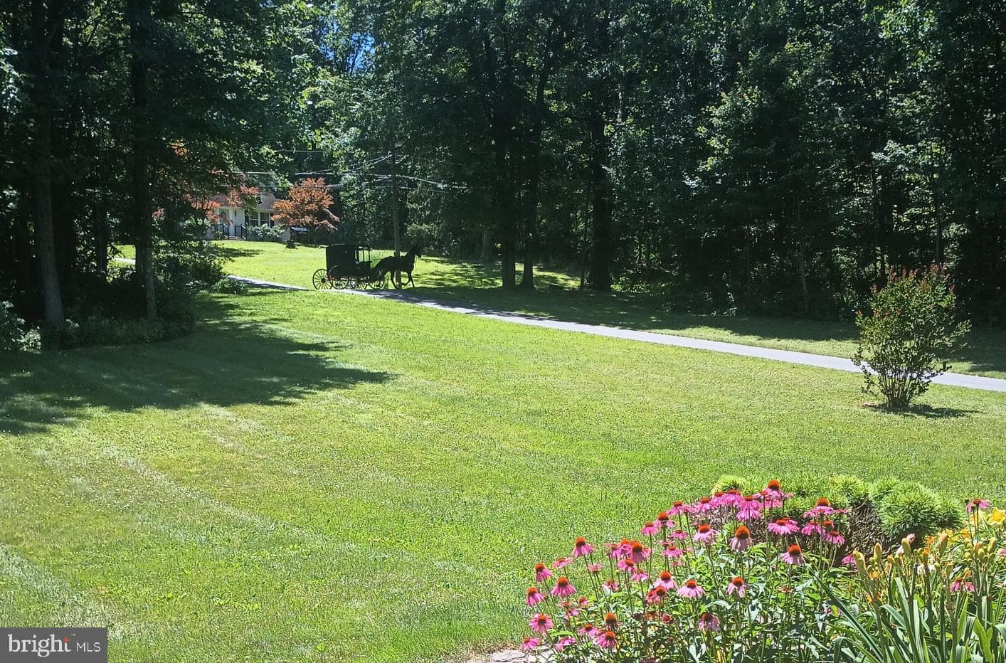 425 Swamp Road photo 8