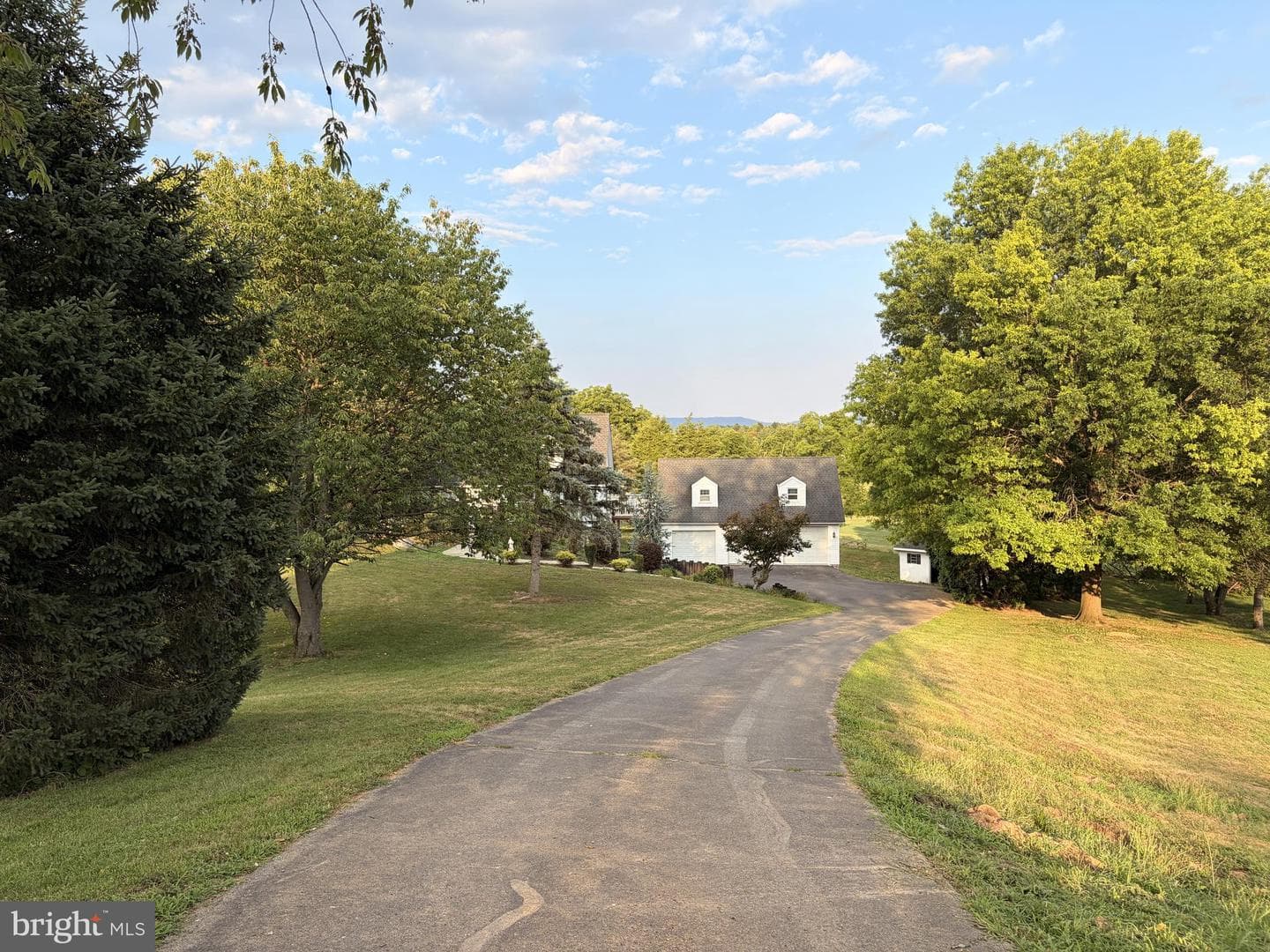 575 Mull Avenue photo 5