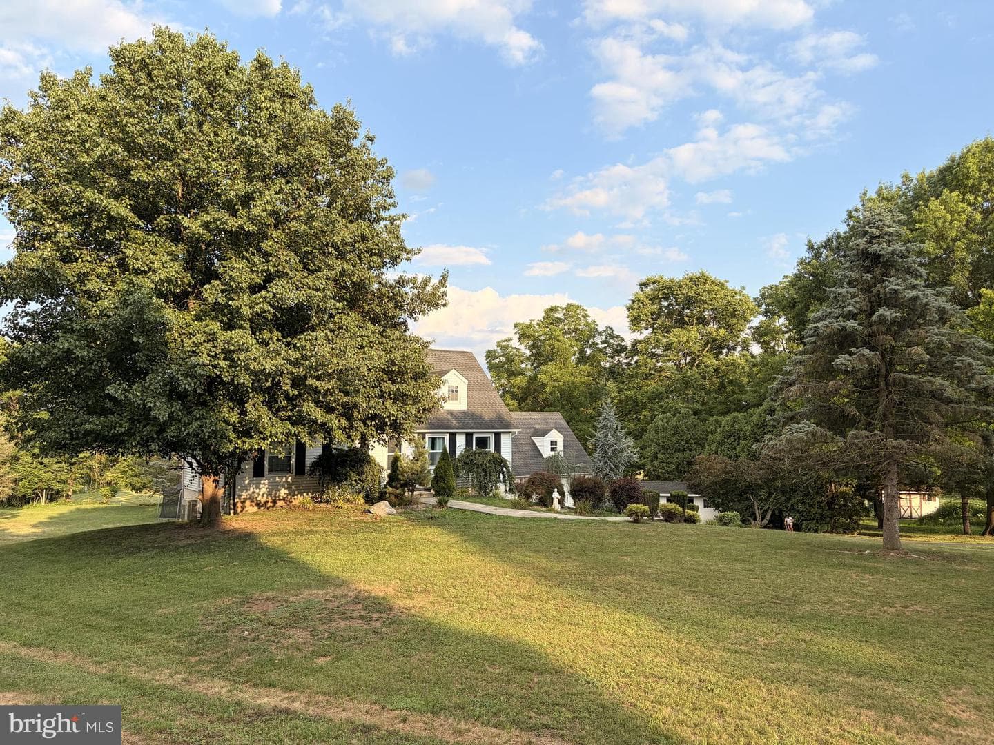 575 Mull Avenue photo 6
