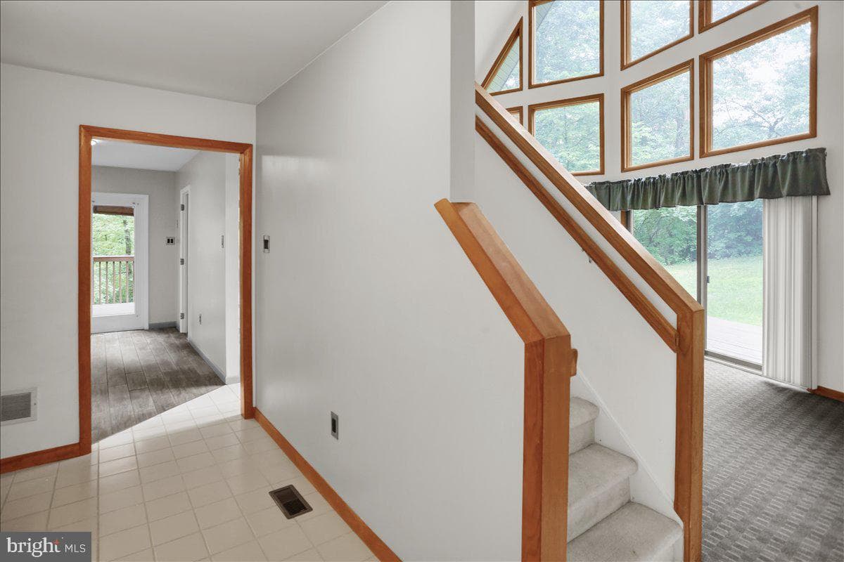 31 Todd Drive photo 6