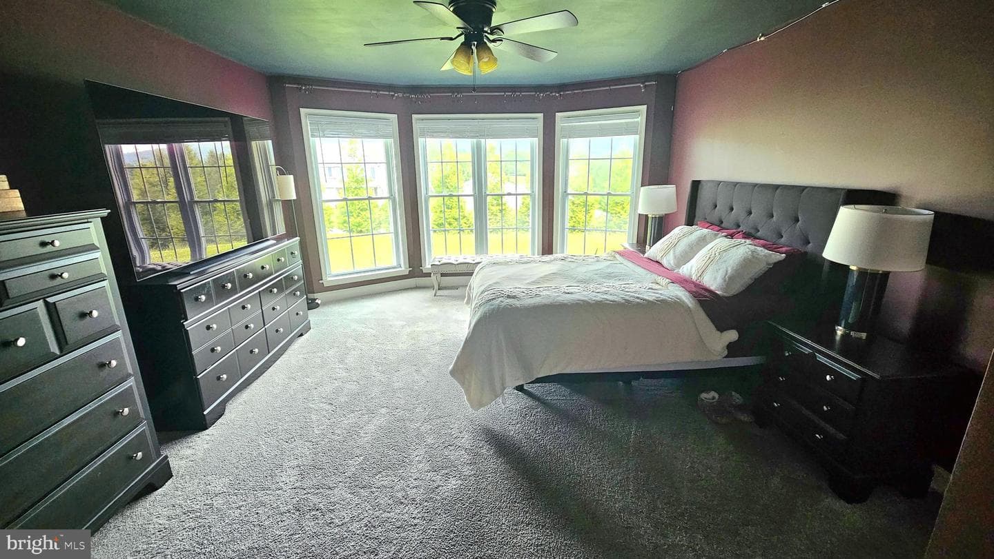 302 Chris Drive photo 18