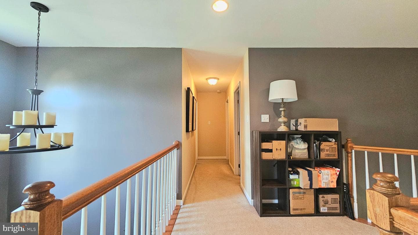 302 Chris Drive photo 25
