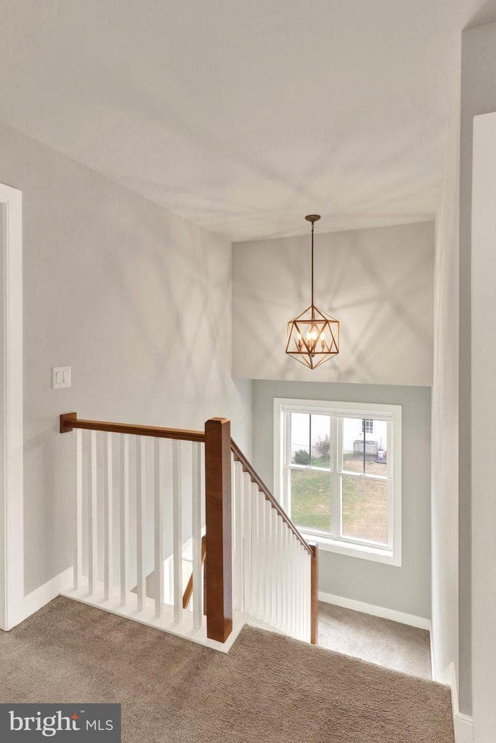 12 Thistle Court photo 36