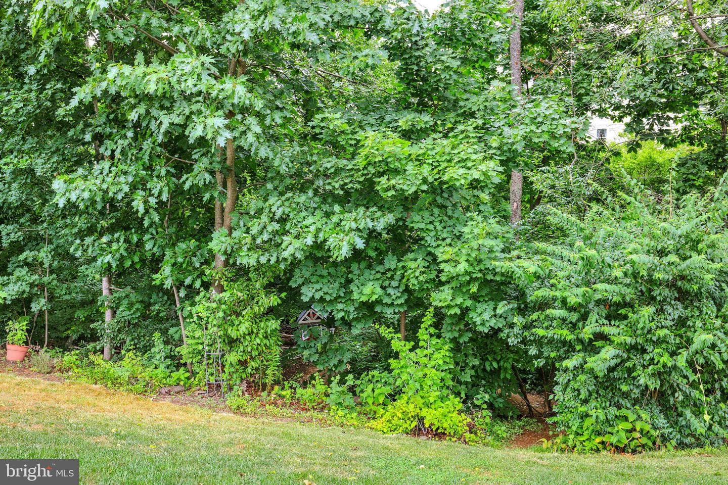 12 Thistle Court photo 47
