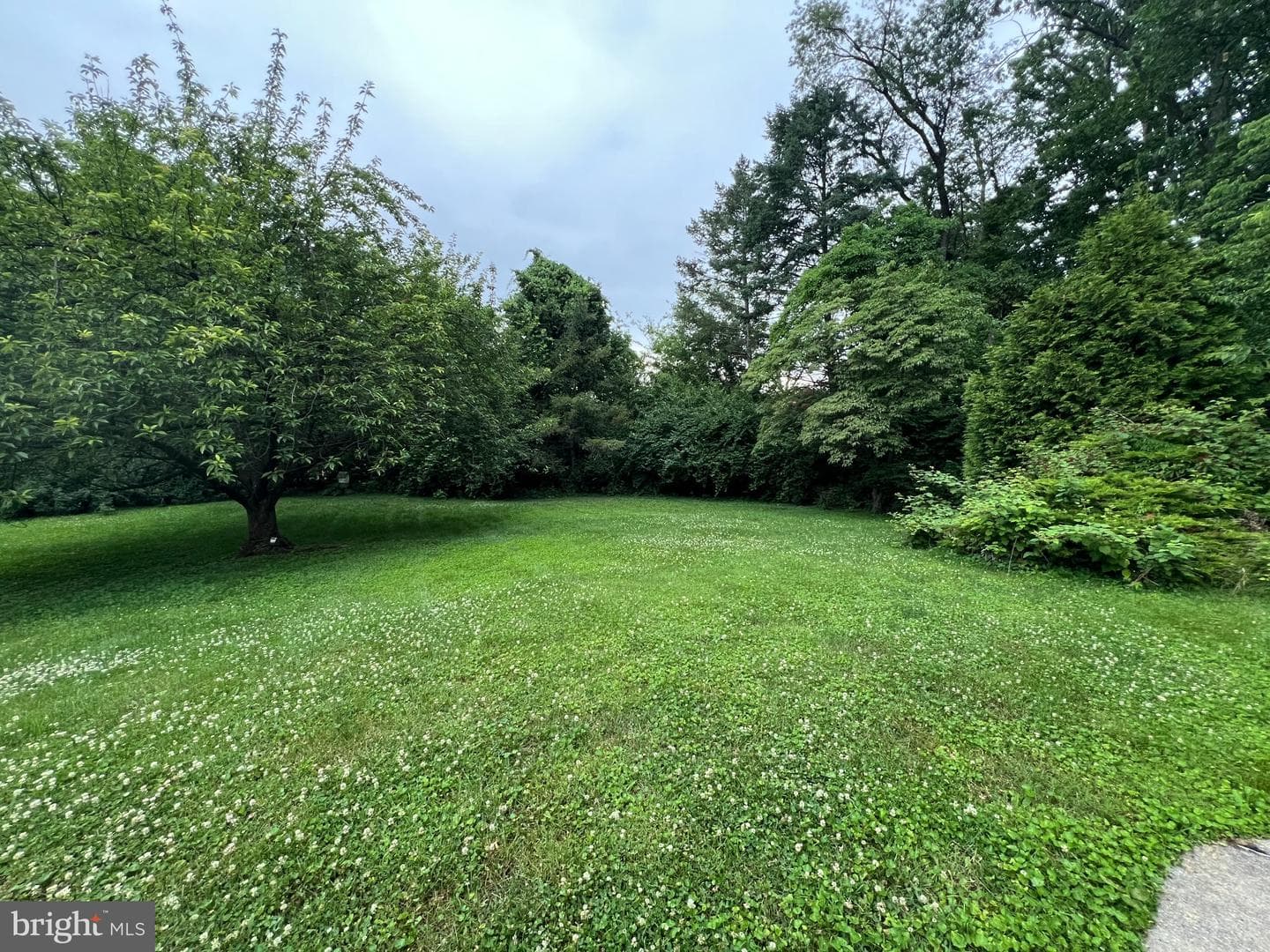 125 Grandview Boulevard photo 77