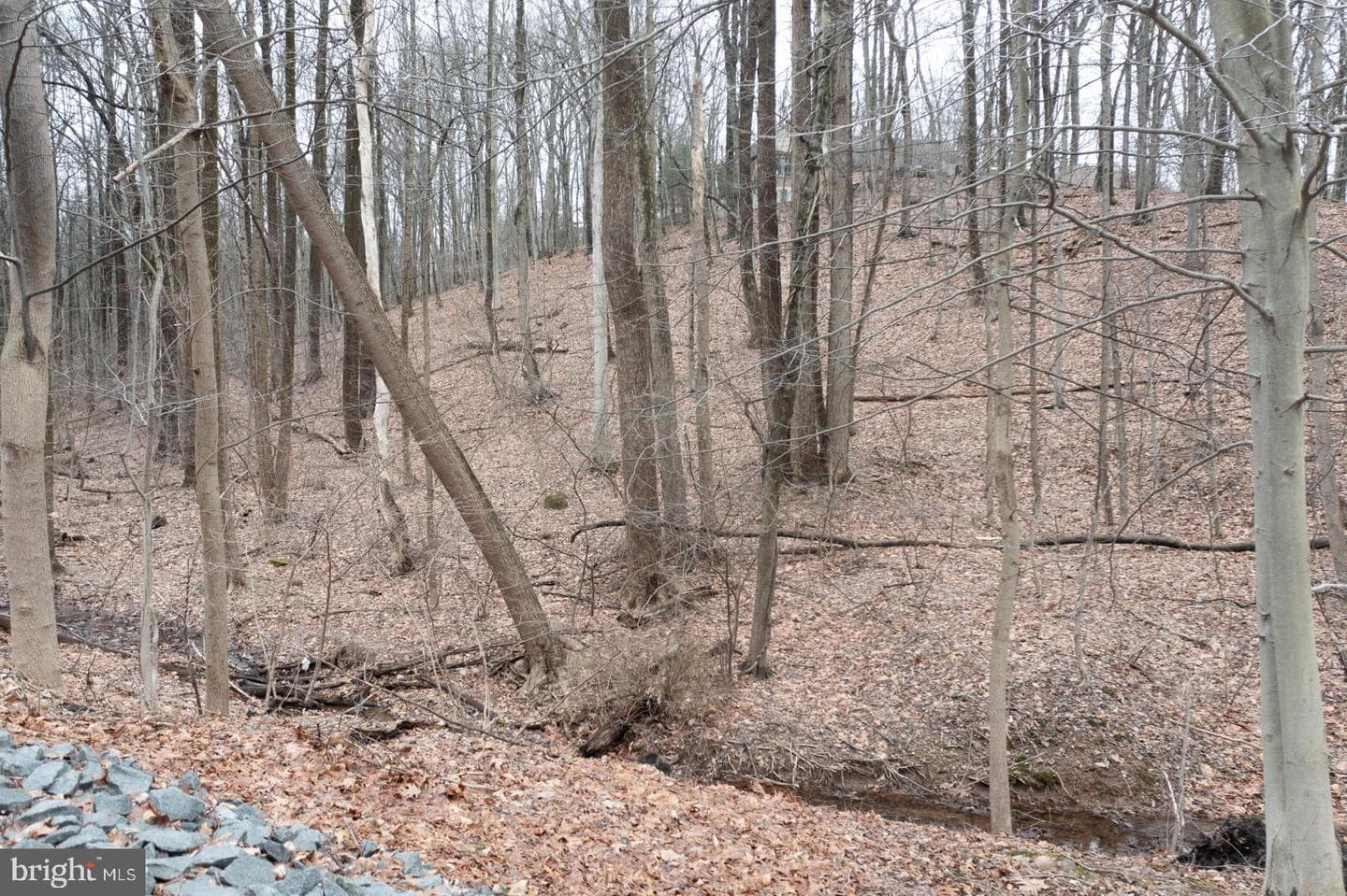 10 Hidden Pond Drive photo 11