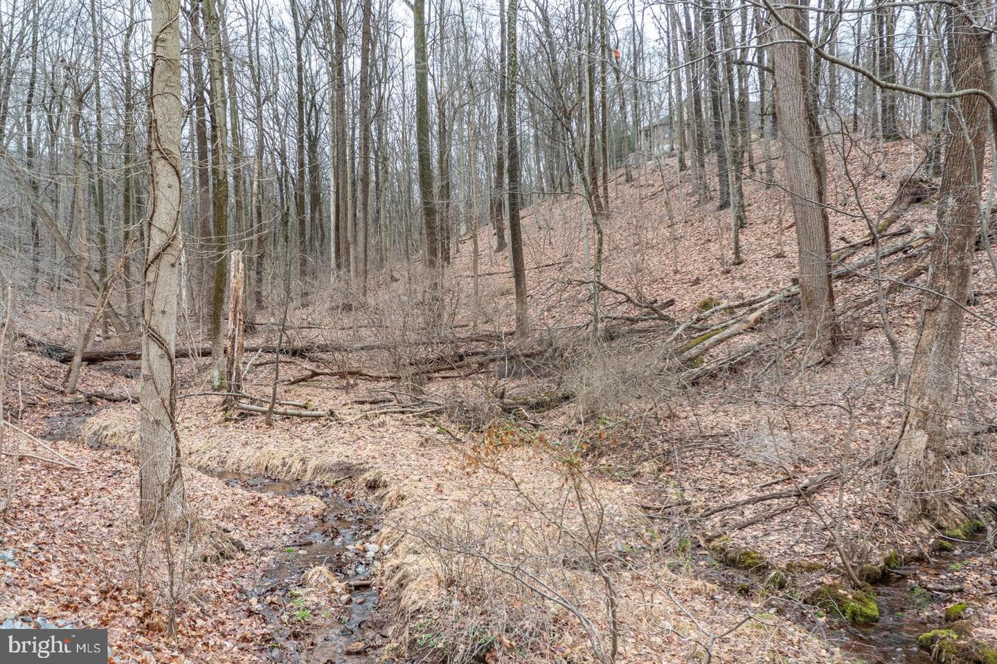 10 Hidden Pond Drive photo 8