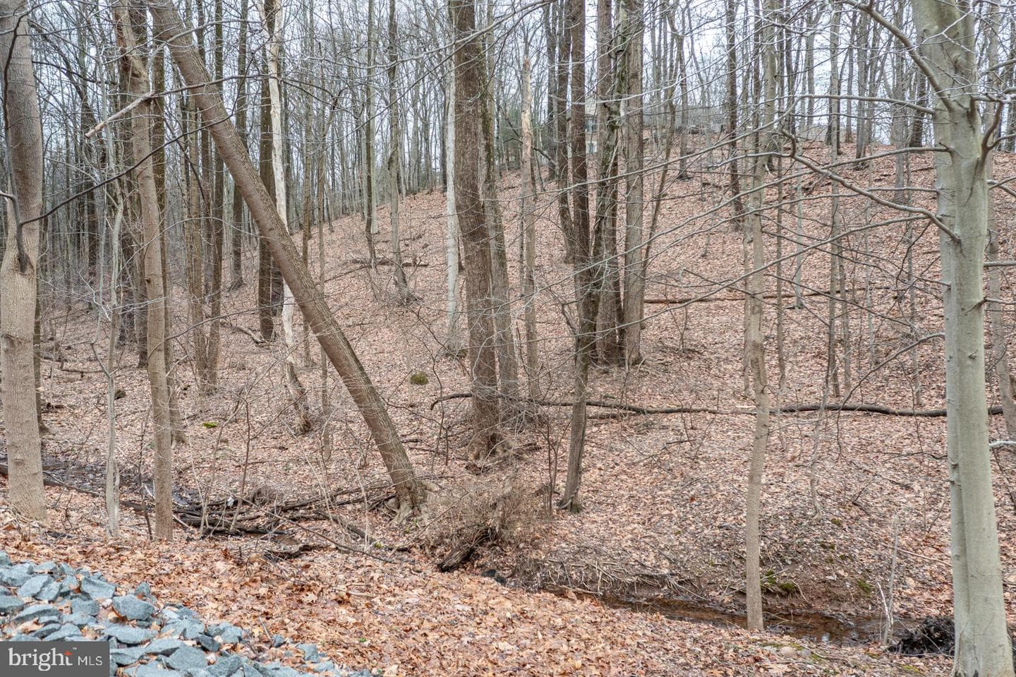 10 Hidden Pond Drive photo 9