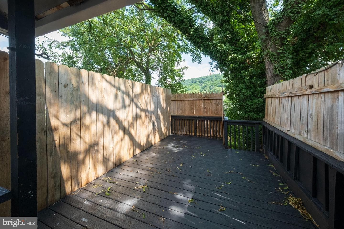 1643 Cotton Street photo 10