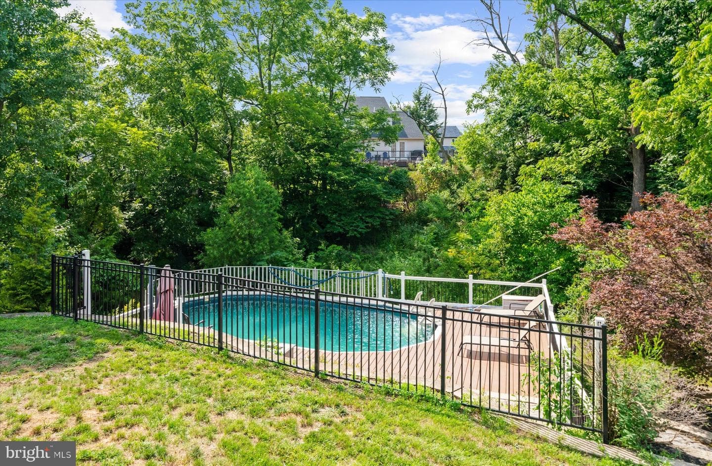 207 Balsam Drive photo 50