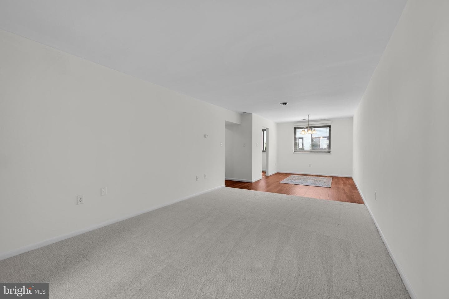 46 Holly Drive photo 8