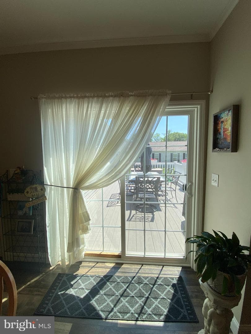 47 Daphne Court photo 16