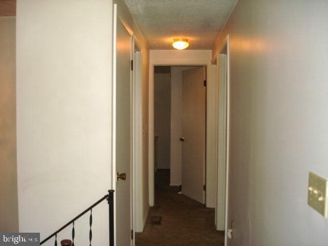 103 3rd Street photo 21