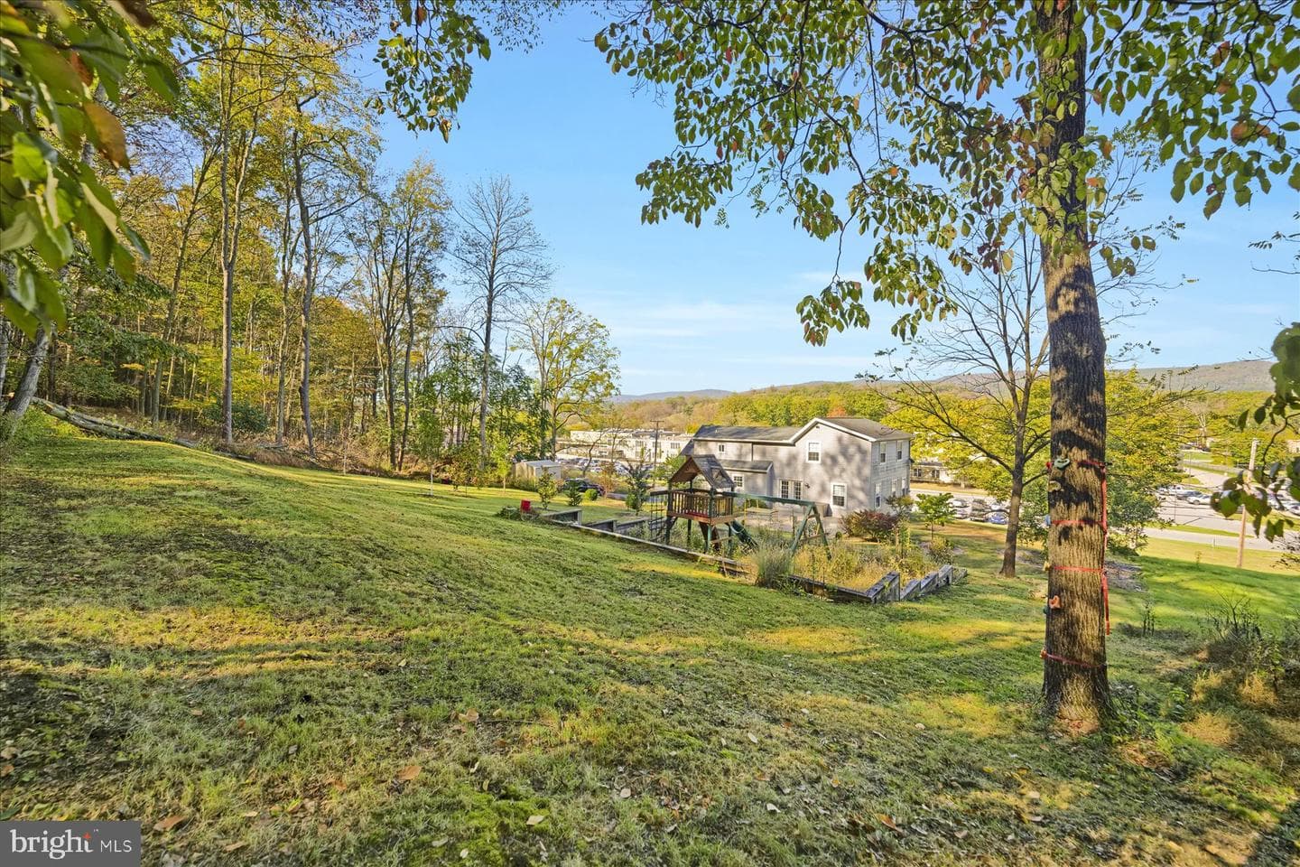 1006 Clay Avenue photo 41