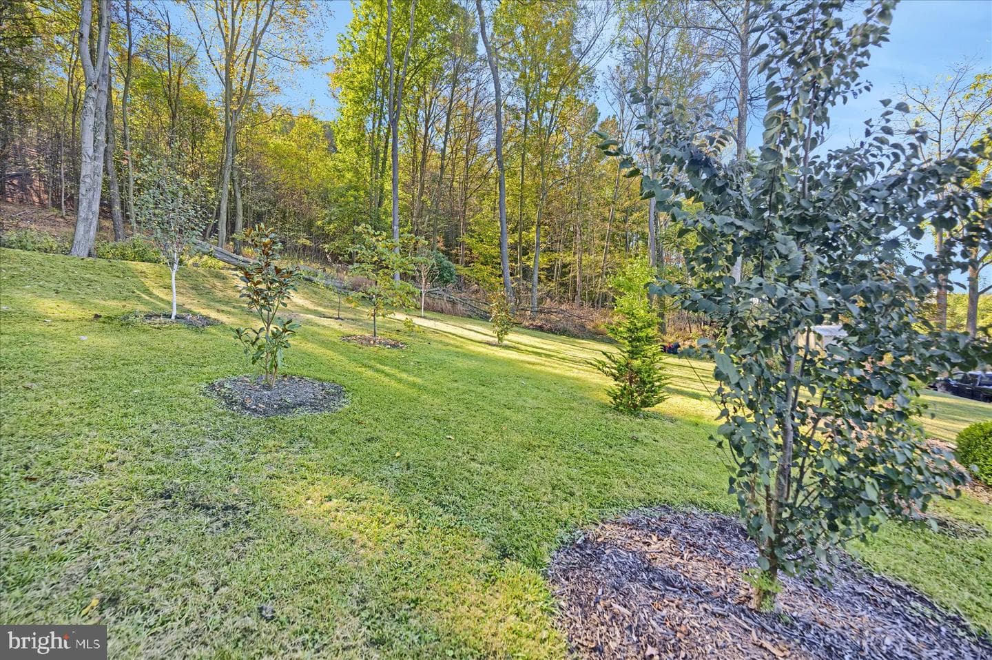 1006 Clay Avenue photo 44