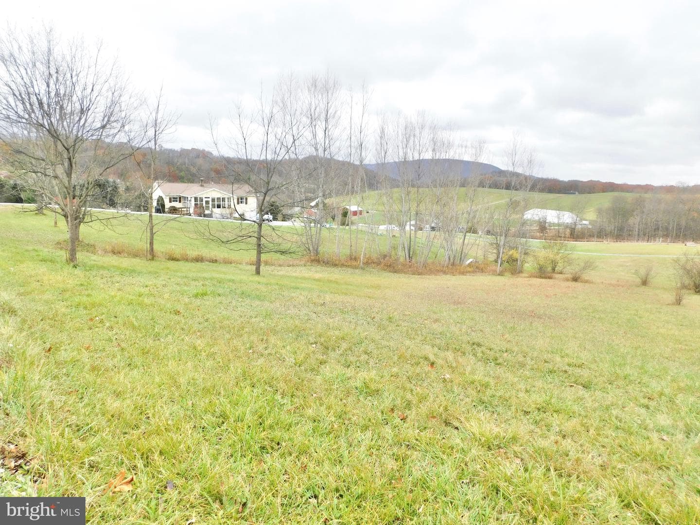 195 Swan Road photo 8