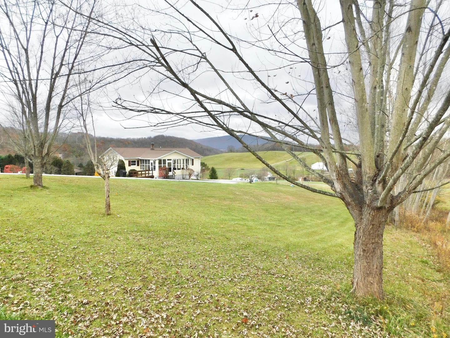 195 Swan Road photo 9