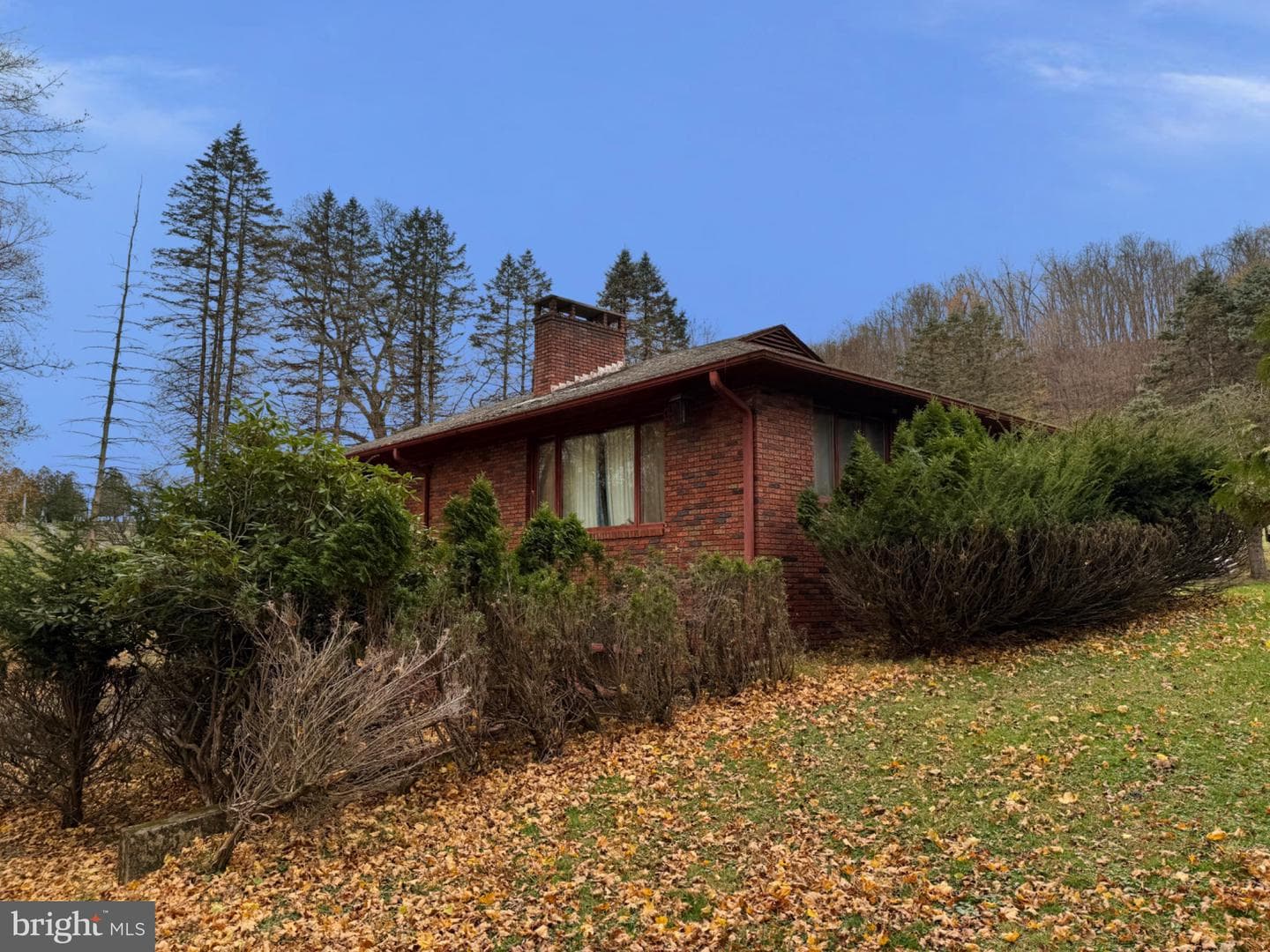 850 Jefferson Avenue photo 4