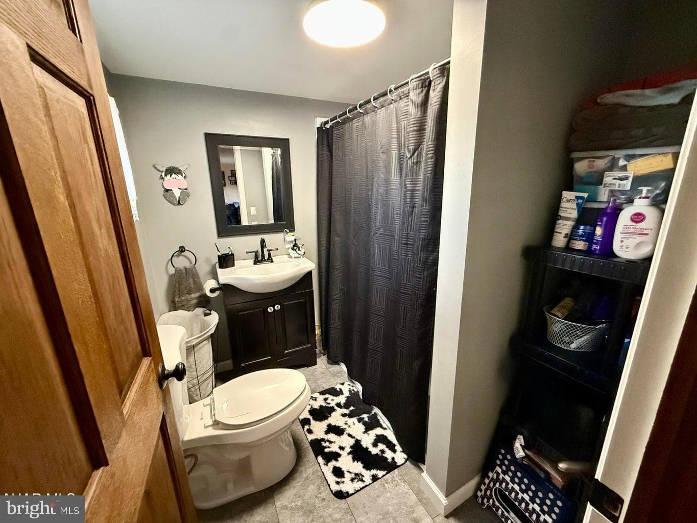 183 Pealer Street photo 12