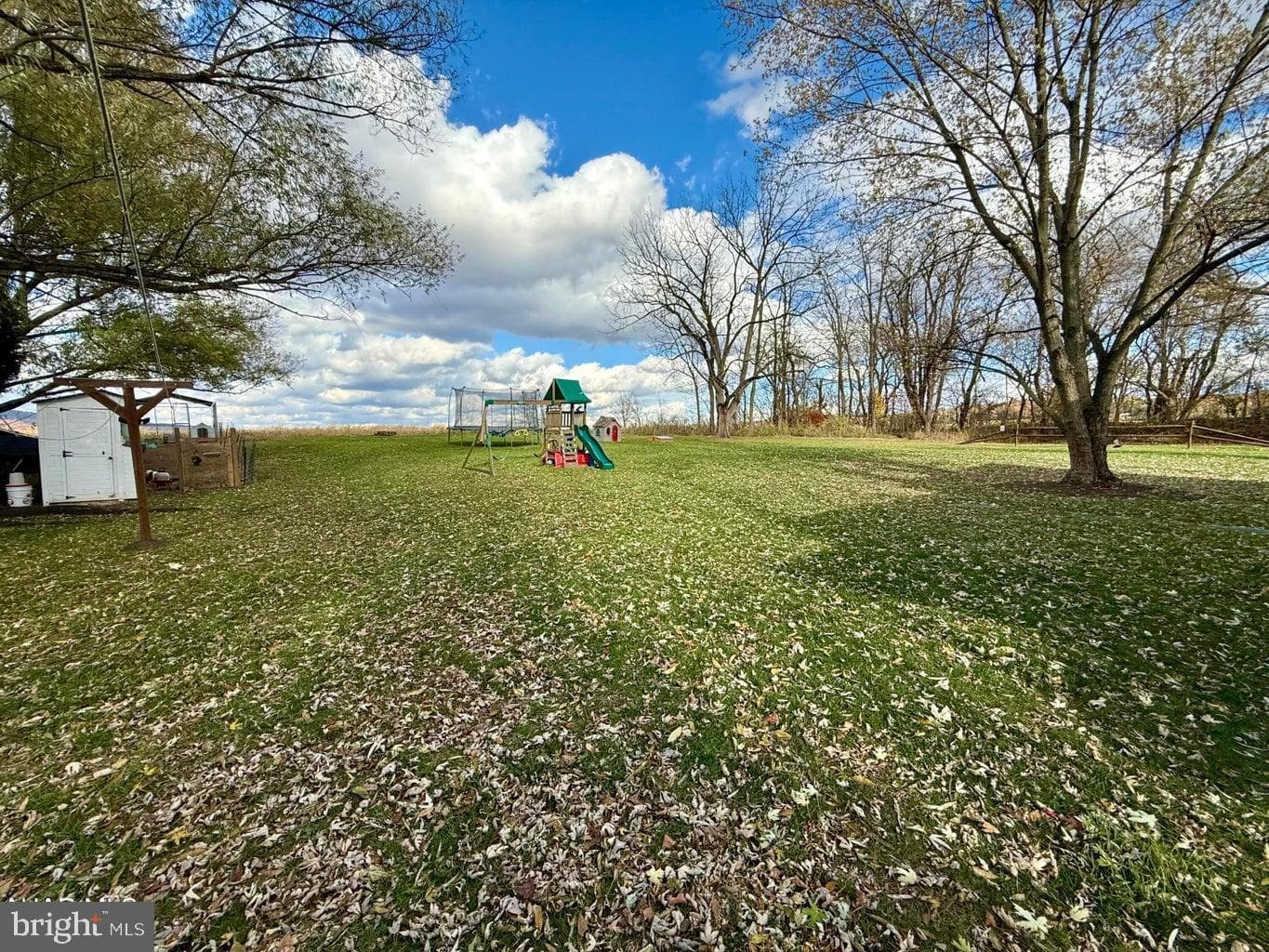 183 Pealer Street photo 30