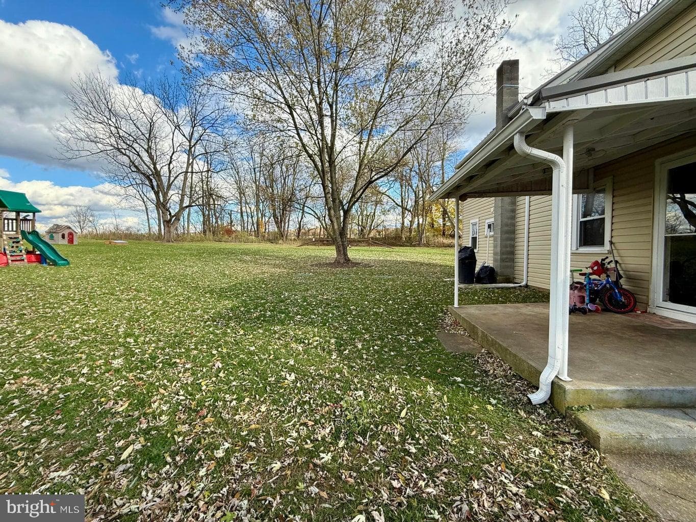 183 Pealer Street photo 31