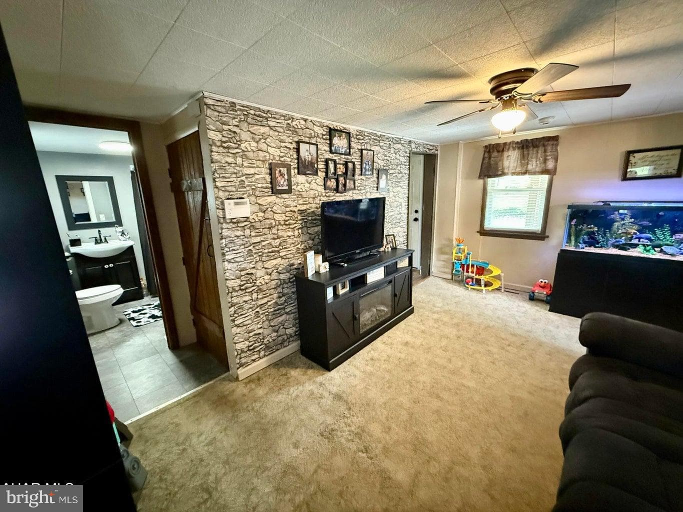 183 Pealer Street photo 8