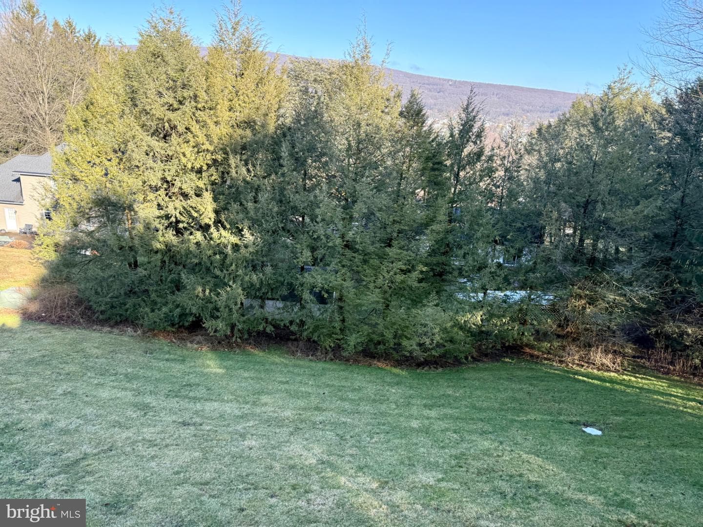 411 Ridge Avenue photo 36